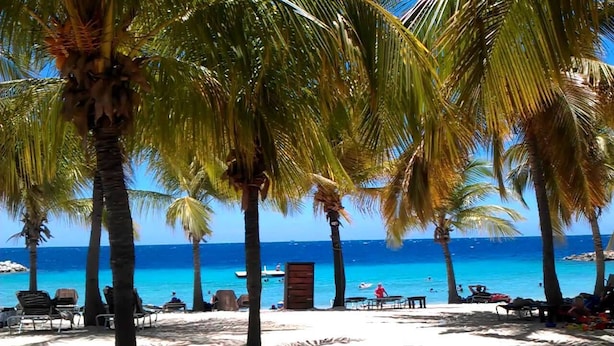 A beach with palm trees, beach chairs, and a clear blue sea.