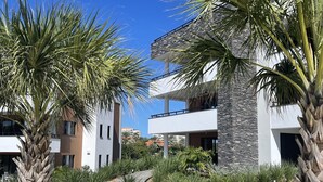A modern building with a stone facade, surrounded by palm trees and a landscaped garden.