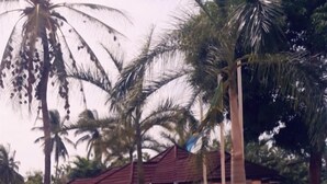 A building with a tiled walkway and palm trees. - Naf Apartments - Mtwara (Mtwara)