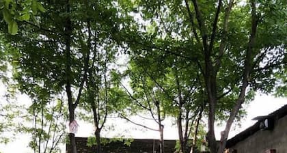 Guesthouse Lago & Wine Cellar