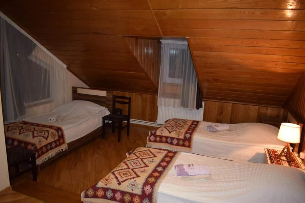 1 habitación, escritorio, sistema de insonorización y wifi gratis