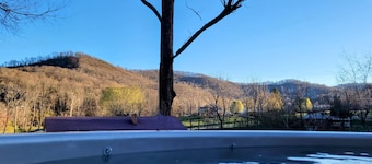 Asheville Cottage with Hot Tub - renovated, quiet, huge yard, mins to Asheville.