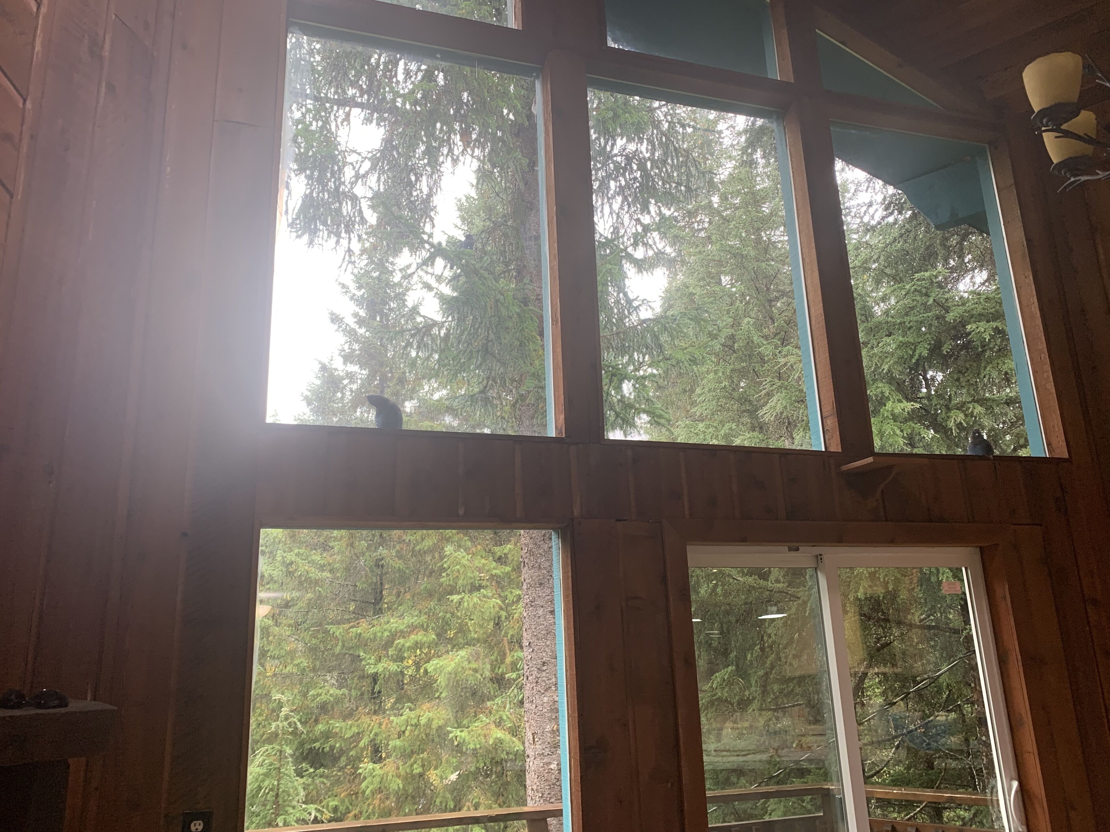 A room with large windows offering views of a forested area.