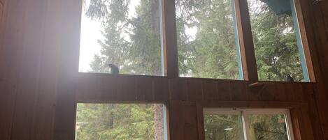 A room with large windows offering views of a forested area.
