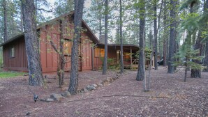 Un chalet rustique entouré de grands arbres, avec un chemin dégagé menant à l’entrée.