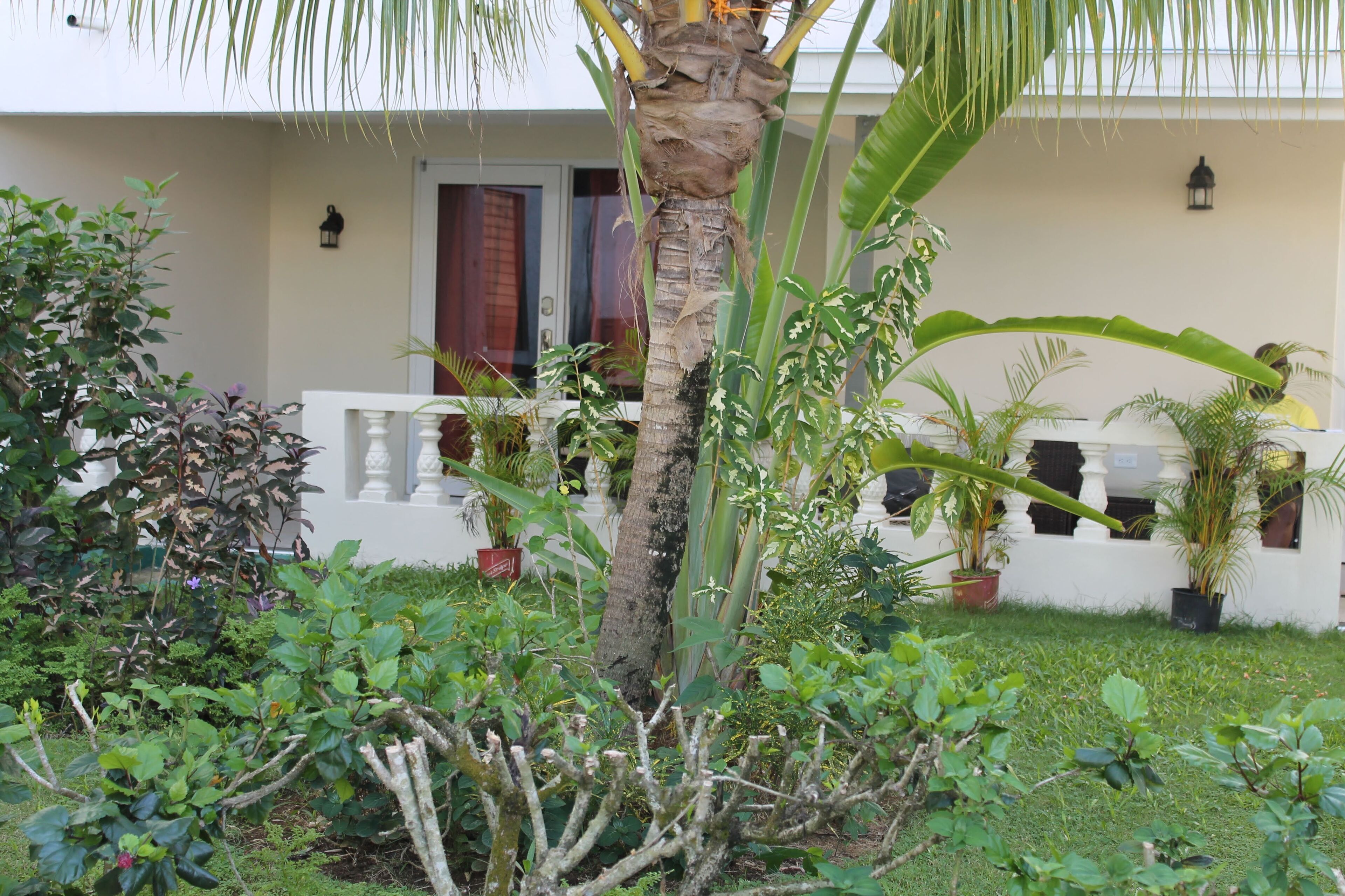 A well-maintained garden with a variety of plants and a palm tree in front of a building with a white facade and a balcony.