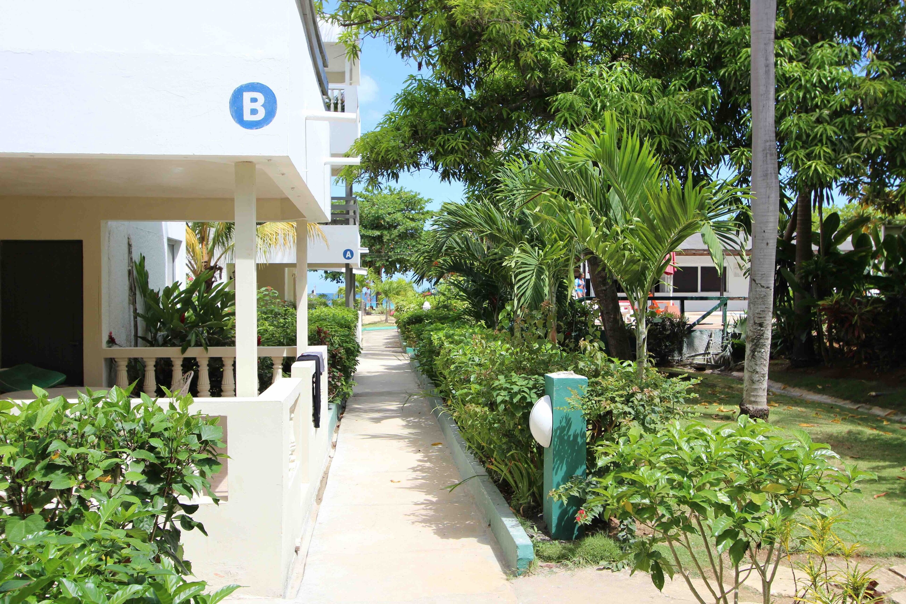 A pathway lined with lush greenery, a white building with a balcony, and a clear blue sky.