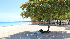 A beach with a tree, beach chairs, and a building labeled "Negri". - Sand and Blue Seas (Negril)