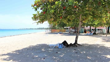 Plage privée, parasols, bar de plage