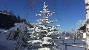 A snow-covered coniferous tree in a snowy landscape with a clear blue sky. - Hotel Compet (Vignola-Falesina)