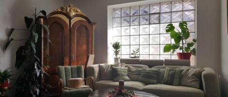 TV de tela plana, lareira