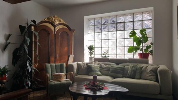 Flat-screen TV, fireplace - Pension Dimitrova (Ulrichsberg)