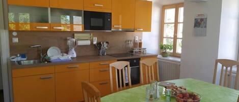 Fridge, microwave, stovetop, high chair