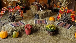 A rustic barn interior with hay bales, pumpkins, and decorative items. - Country Aire Bed & Breakfast (Rock Spring)