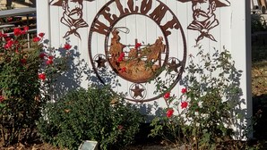 A white wooden sign with a cowboy hat and a horse, surrounded by red flowers and greenery. - Country Aire Bed & Breakfast (Rock Spring)