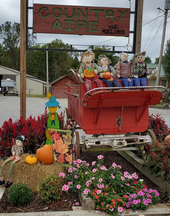 Property grounds - Country Aire Bed & Breakfast (Rock Spring)