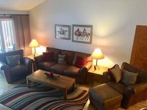 TV connectée, cheminée, lecteur de DVD, livres