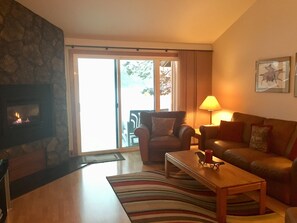 TV connectée, cheminée, lecteur de DVD, livres