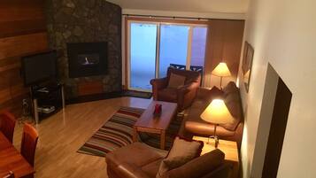 Smart TV, chimenea, reproductor de DVD y libros