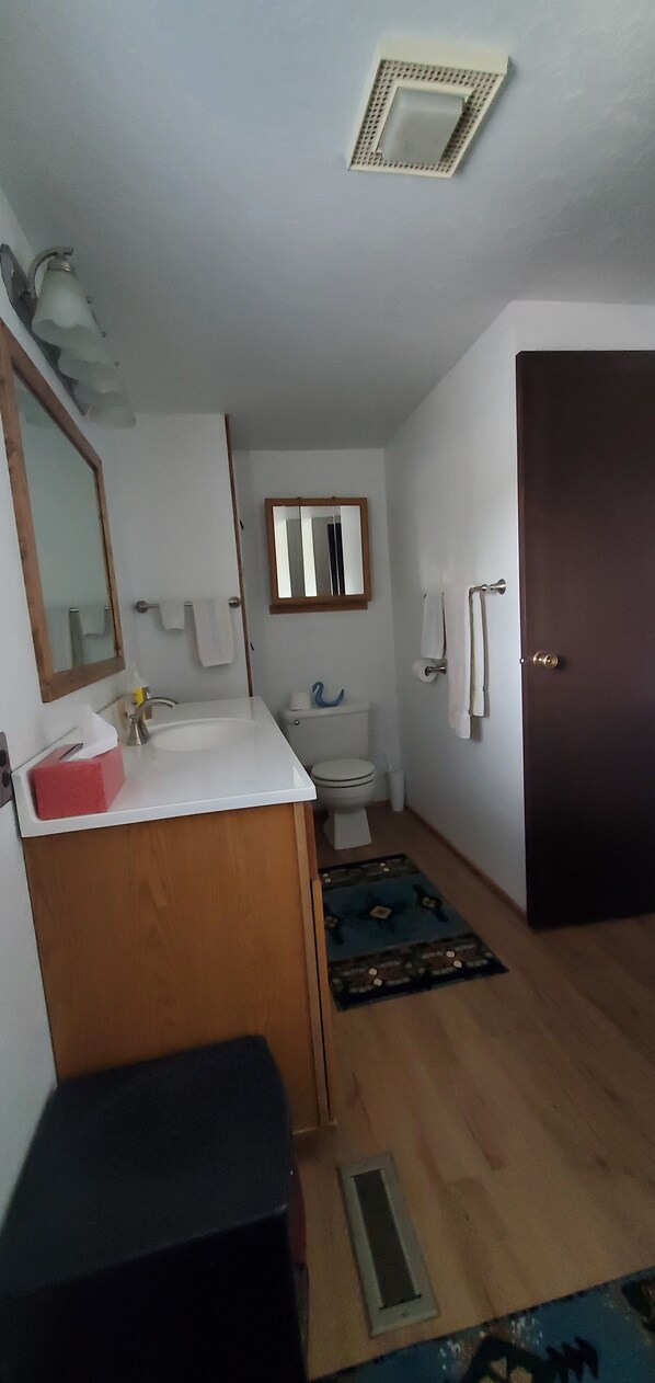 A small, compact bathroom with a white sink, a mirror, a toilet, and a dark door. - On Salmon River, quiet, private, house, where you can still see the milky way, (Salmon)