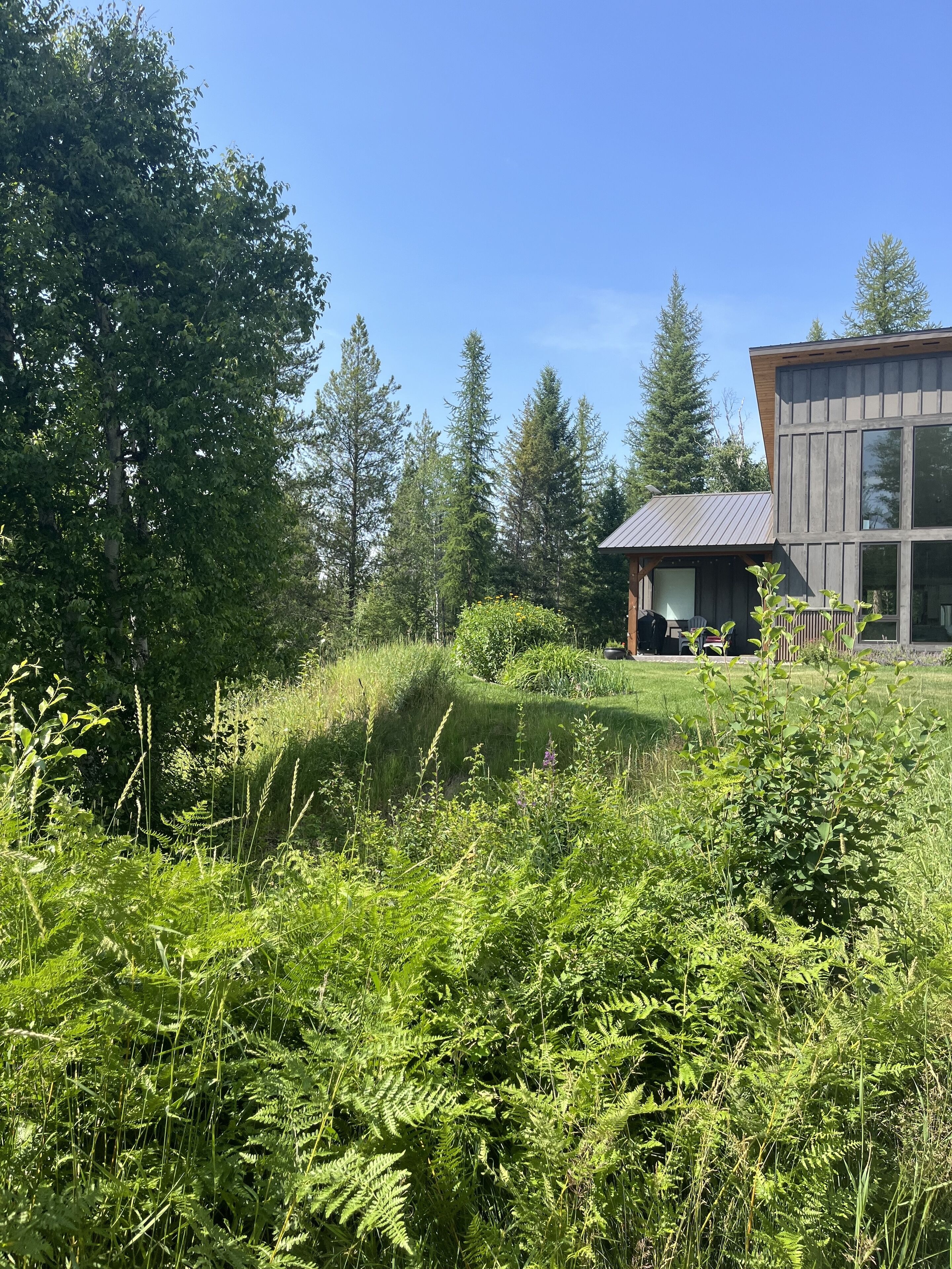 Un bâtiment moderne doté d’une grande façade en verre, entouré d’une végétation luxuriante et d’arbres imposants.