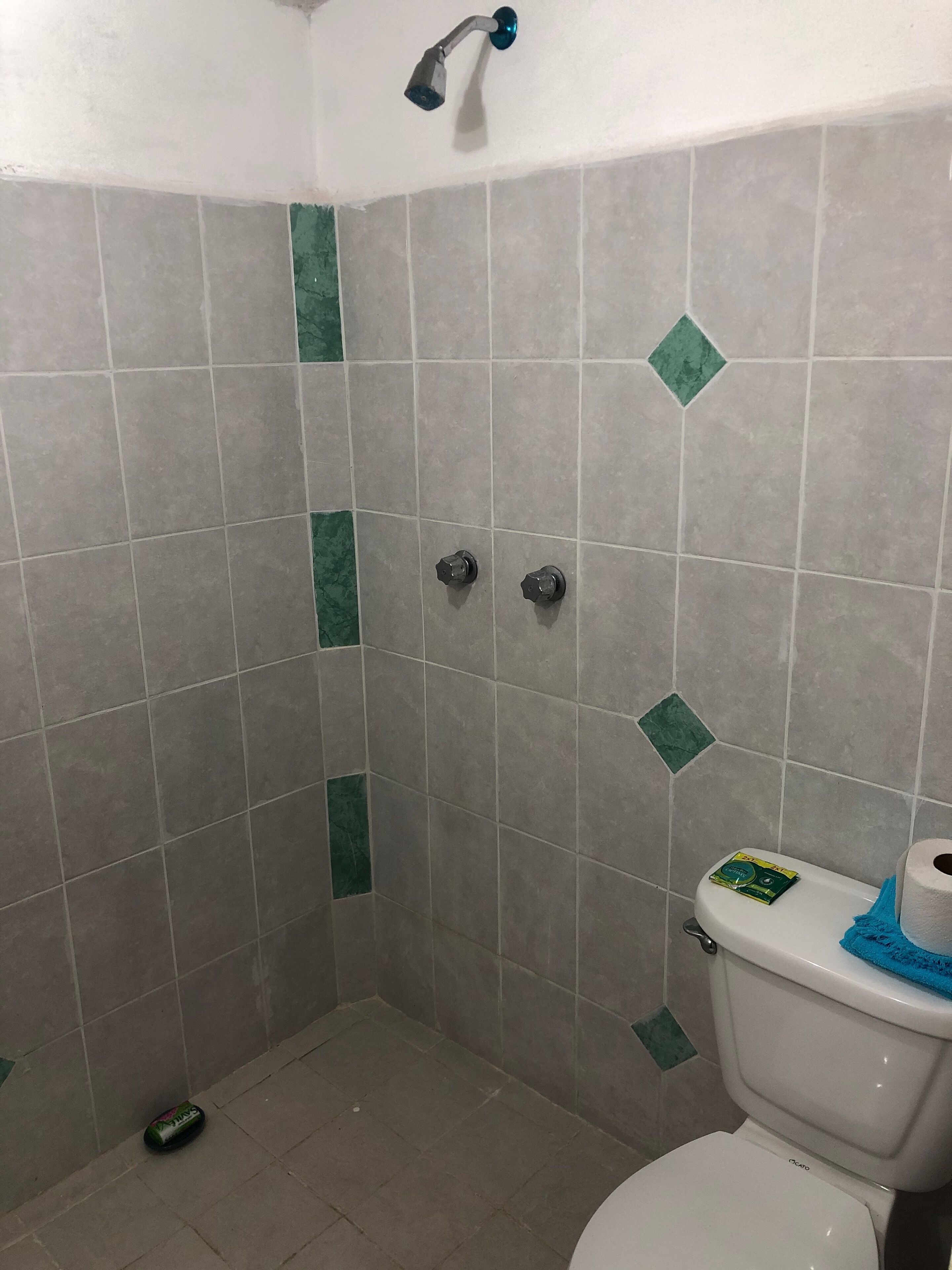 Towels, soap, shampoo, toilet paper