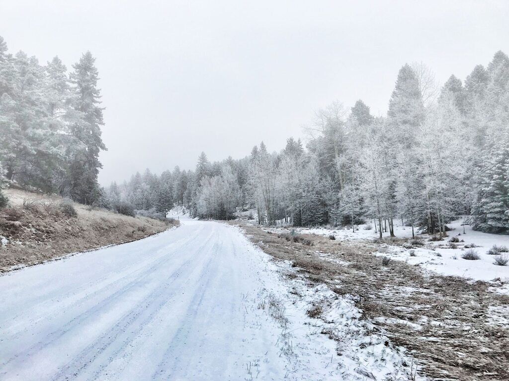 A snow-covered road flanked by trees.