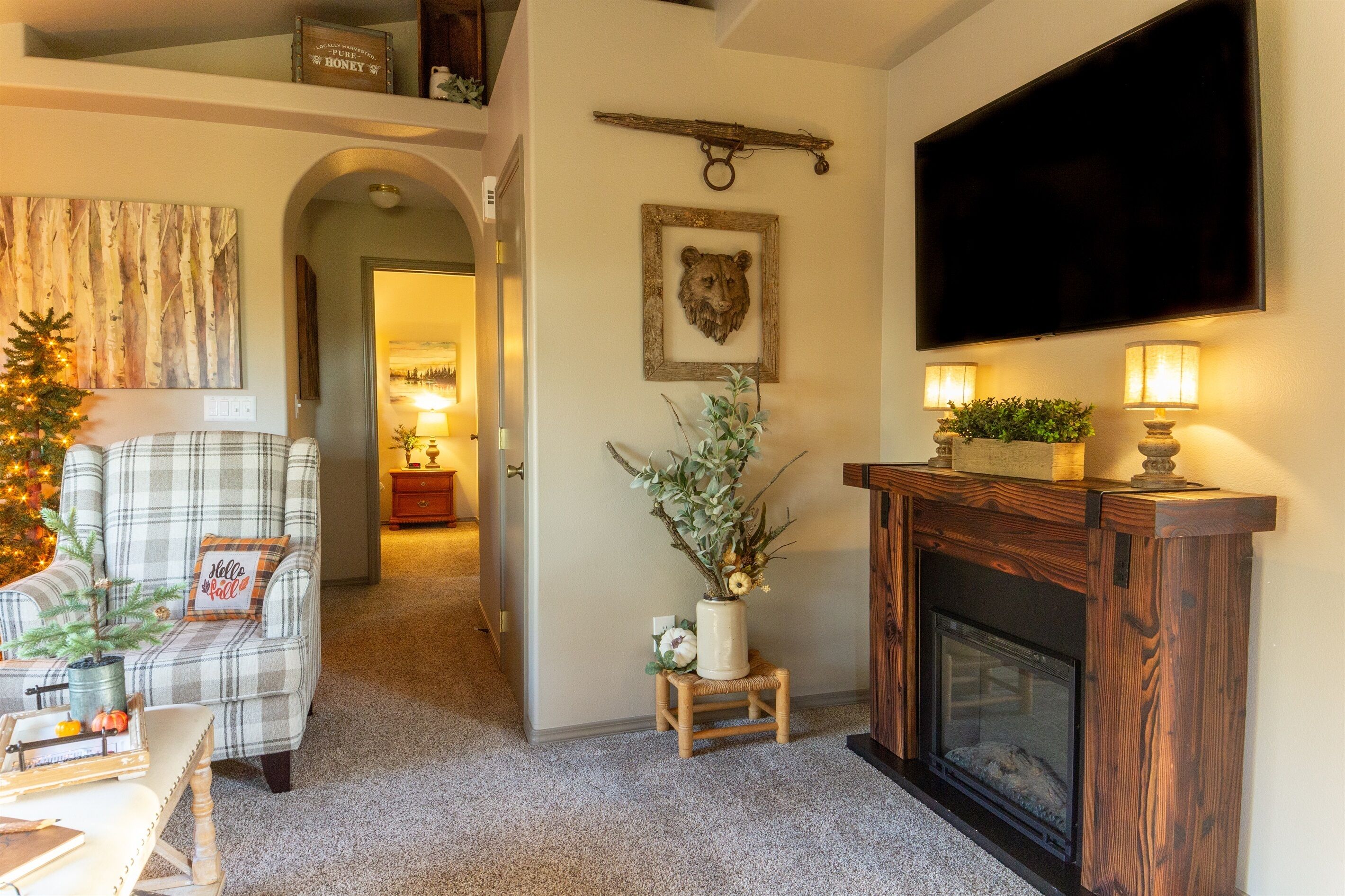 Älytelevisio, takka, kirjoja, älykaiuttimet