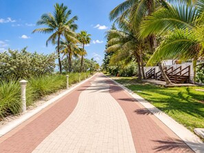 A paved pathway lined with palm trees and greenery, leading to a building with a staircase.