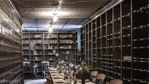 A long dining table set with chairs, surrounded by bookshelves, in a dimly lit room with a concrete floor. - All inclusive Bed and Breakfast (McCloud)