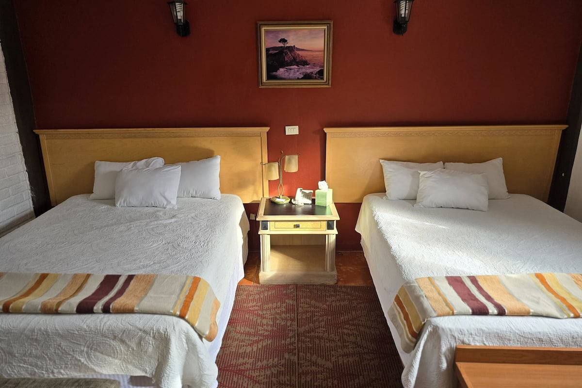 superior room | 1 bedroom, down duvets, blackout curtains, iron/ironing board