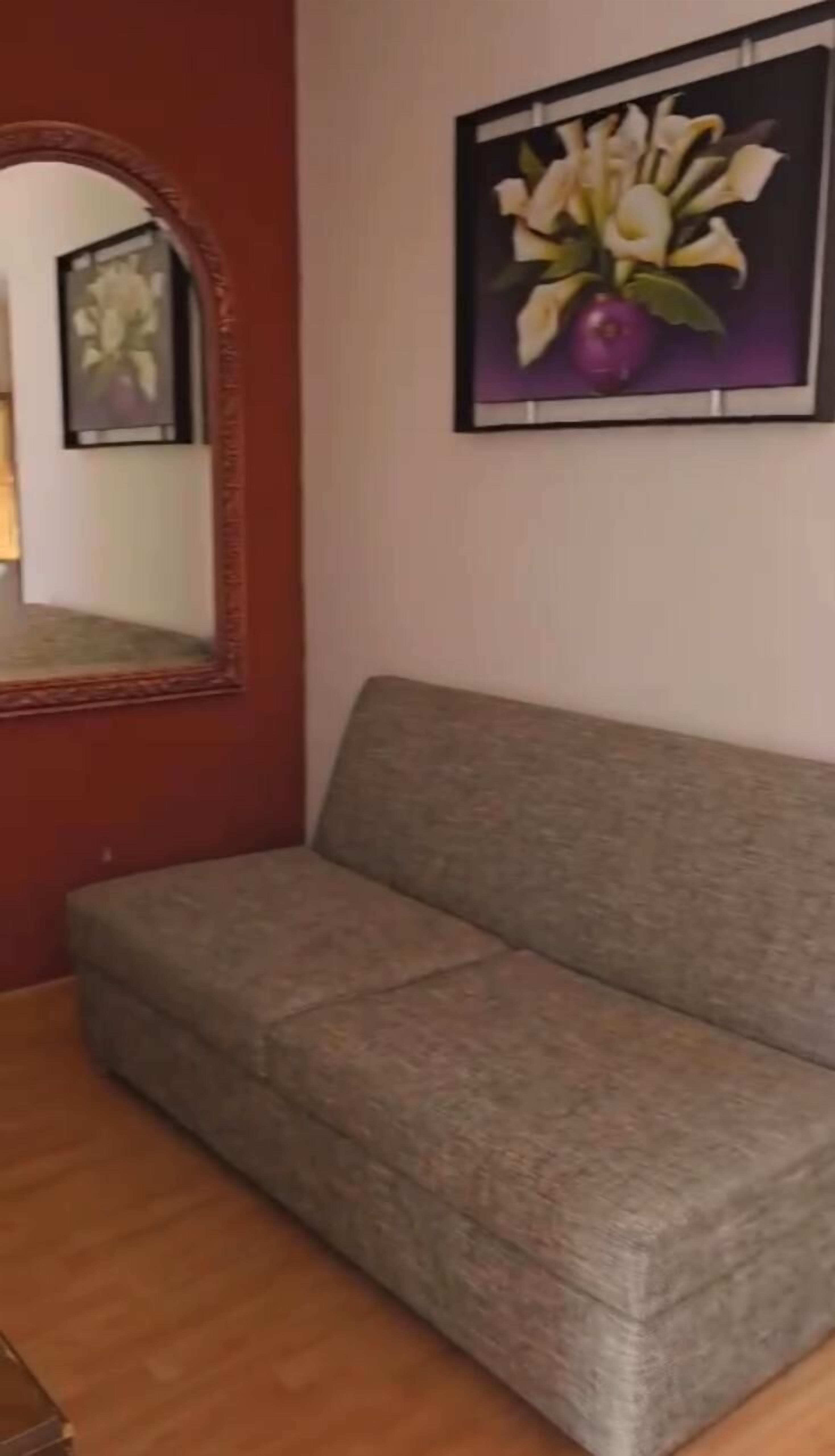 executive room | living area | 29-inch plasma tv with premium tv channels, tv