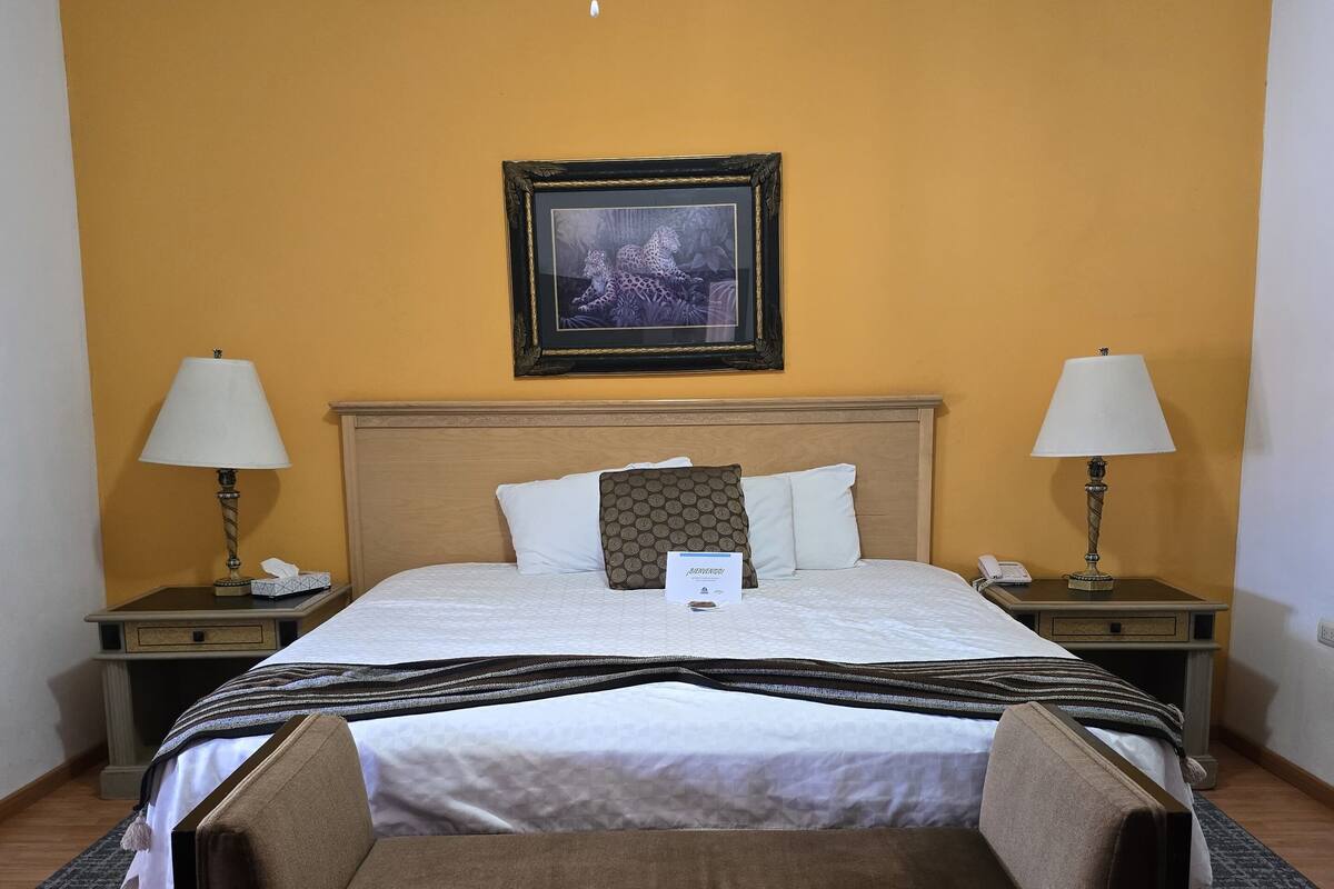 Executive Room | Gebar bulu kapas, langsir/tirai gelap terus, seterika/papan seterika 