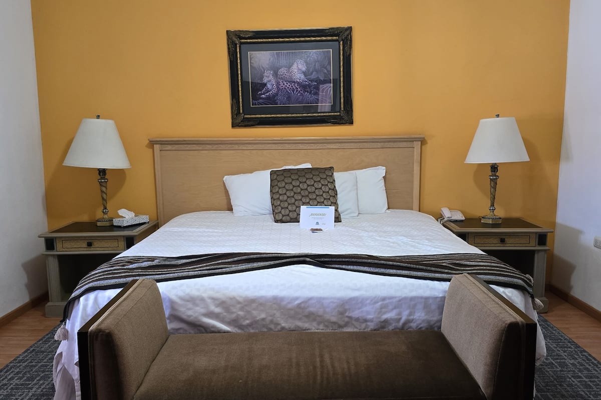 executive room | 1 bedroom, down duvets, blackout curtains, iron/ironing board