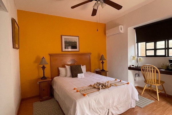 Quarto básico | Edredons de pluma, cortinas blackout, ferros/tábuas de passar roupa