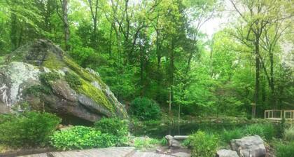 Paw Paw Tree Estate at the foothills of Petit Jean Mt. next to Arkansas River.
