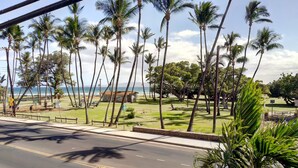 A road with palm trees and a grassy area with a building in the background.