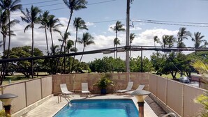 A rectangular swimming pool with a tiled deck, surrounded by a fence and palm trees.
