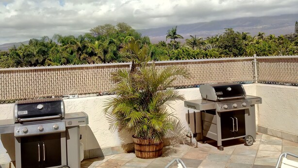 An outdoor patio with two barbecue grills, a potted plant, and a table with chairs.
