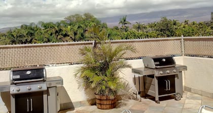 Estudio apto. con A / C, nevera, piscina semiprivada en el centro de kihei