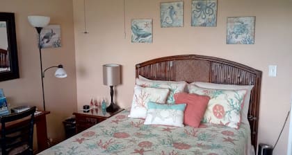 Studio apt. with A/C, Fridge, Semi-Private pool in the Center of kihei