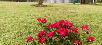 Casa de huéspedes Vintage Villa