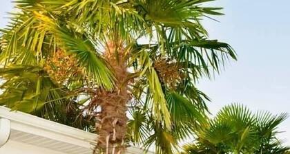 Vintage Villa Guesthouse