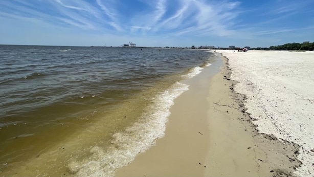 Ein Strand mit blauem Himmel und ruhigem Wasser.