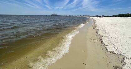 Sea Turtle Cottage 1 pet friendly charming cottage.