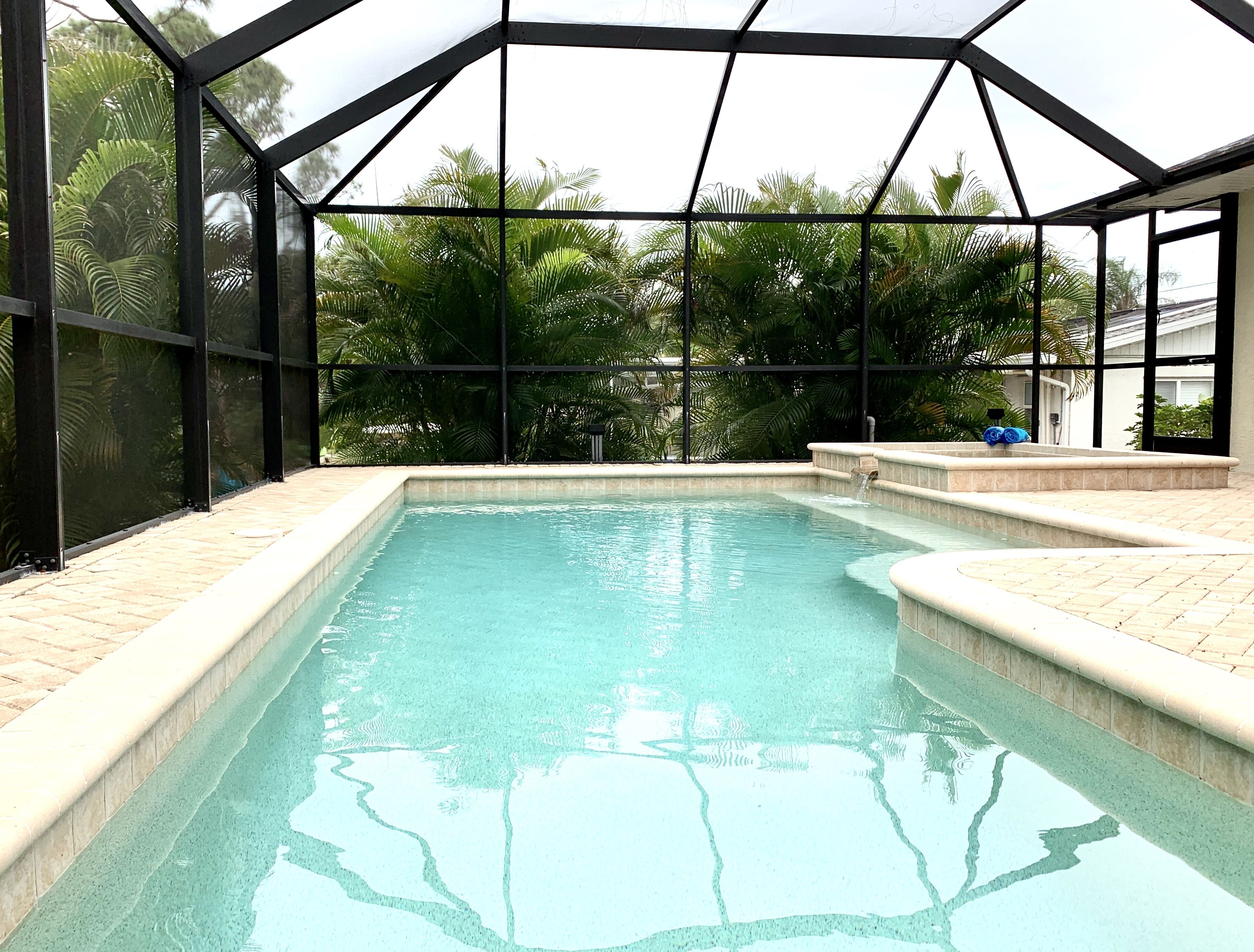 A swimming pool with a glass enclosure, surrounded by palm trees and a brick patio.