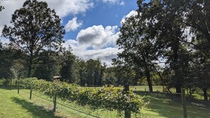 Property grounds - Jake & Wilma's - Private Country Estate (State Rd)