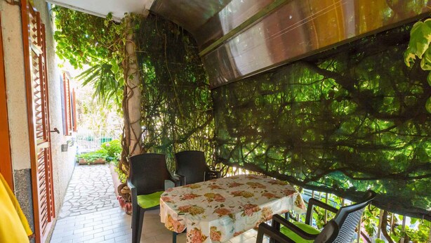 Un'area patio esterna con un tavolo e sedie, circondata da vegetazione rigogliosa e una recinzione in metallo.