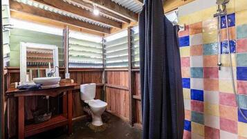 Shower, hair dryer, towels, toilet paper