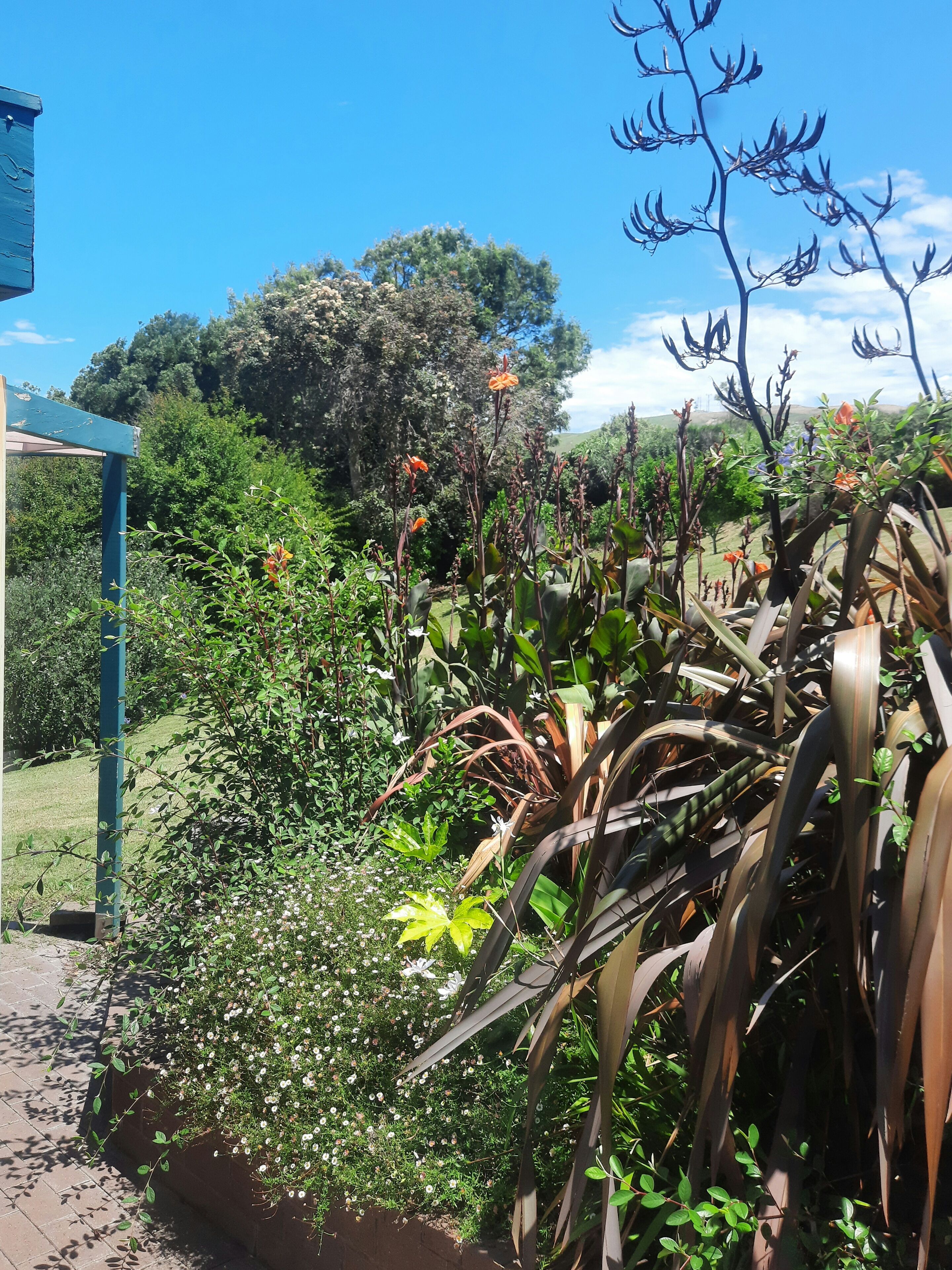 Un jardín con diversas plantas y flores, una estructura azul y un árbol al fondo.